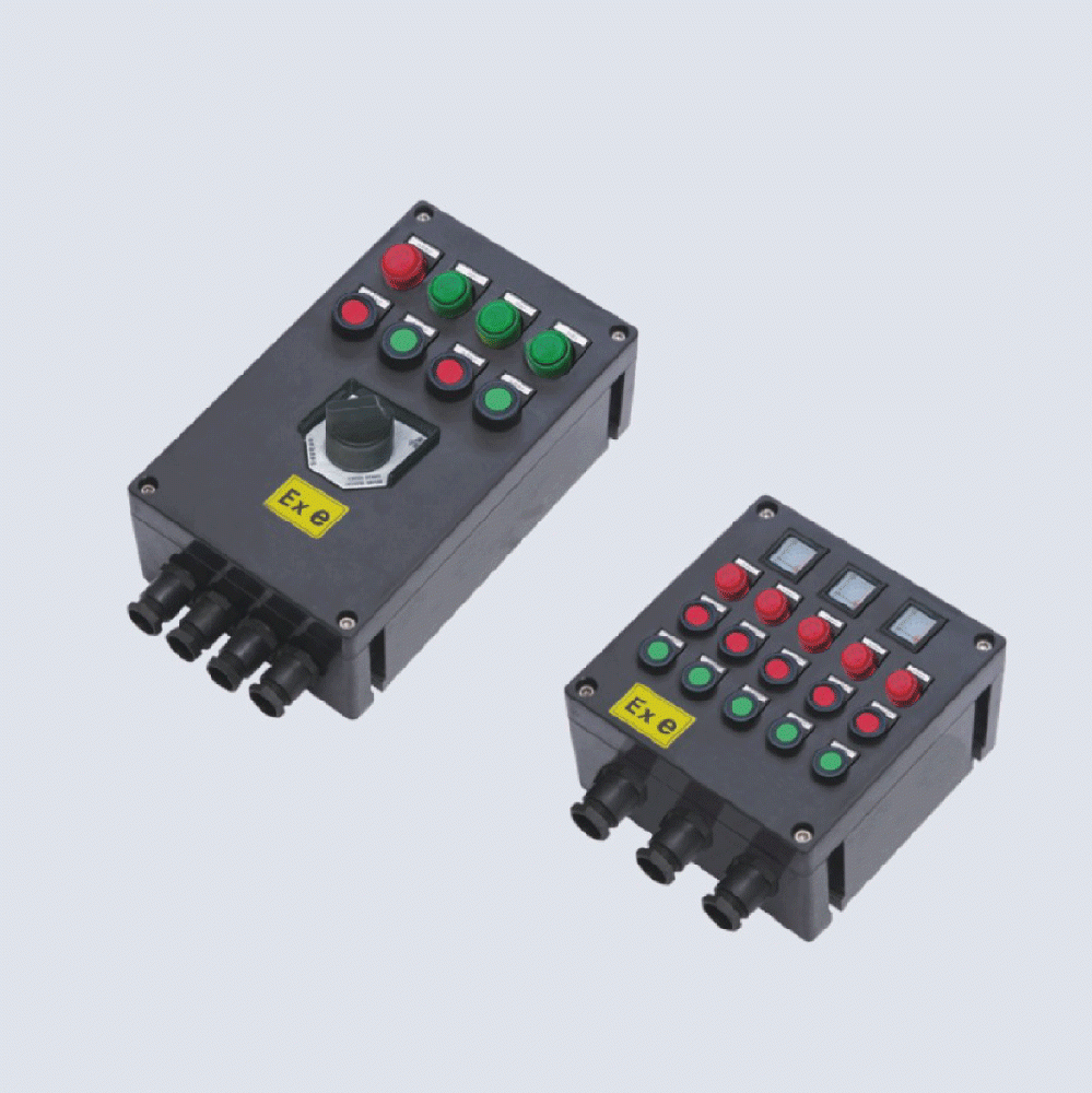 BXK8050-系列防爆防腐控制箱(IIC、 ExtD)